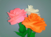 Picture 5