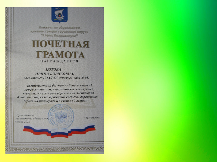 Портфолио педагога дошкольного образования Котовой Ирины Борисовны