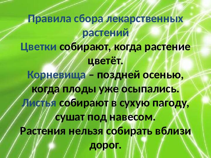 Презентация по ознакомлению с миром природы "Лекарственные растения"