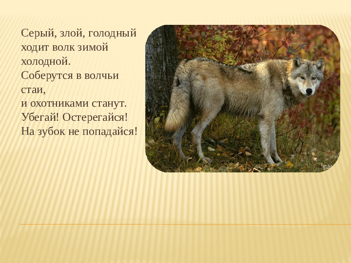 Презентация по окружающему миру "Как животные к зиме готовятся"