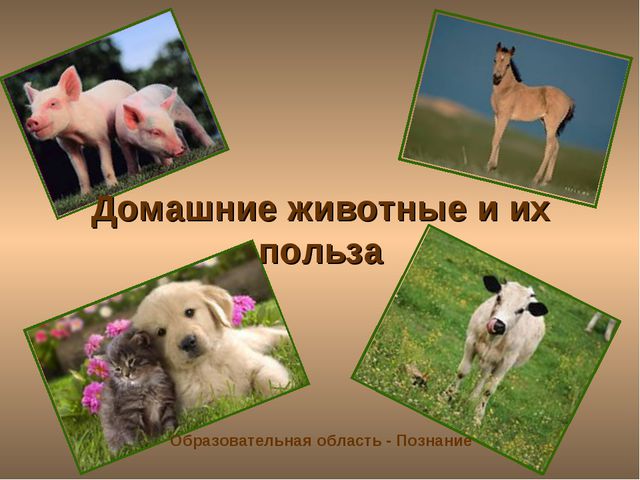 Домашние животные и их польза. Презентация подготовительная группа
