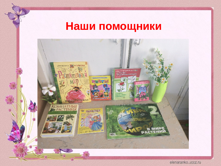 Проектная деятельность с детьми среднего дошкольного возраста на тему: "Цветочный калейдоскоп"