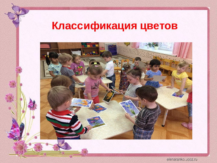 Проектная деятельность с детьми среднего дошкольного возраста на тему: "Цветочный калейдоскоп"