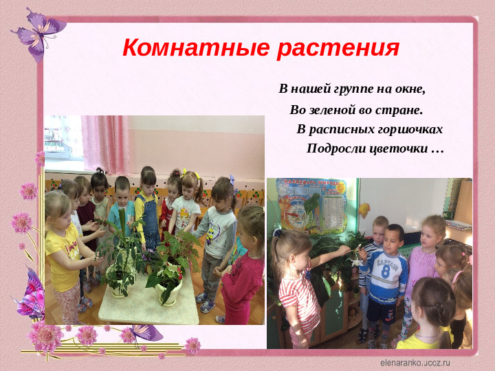 Проектная деятельность с детьми среднего дошкольного возраста на тему: "Цветочный калейдоскоп"