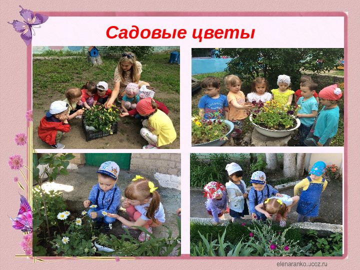 Проектная деятельность с детьми среднего дошкольного возраста на тему: "Цветочный калейдоскоп"