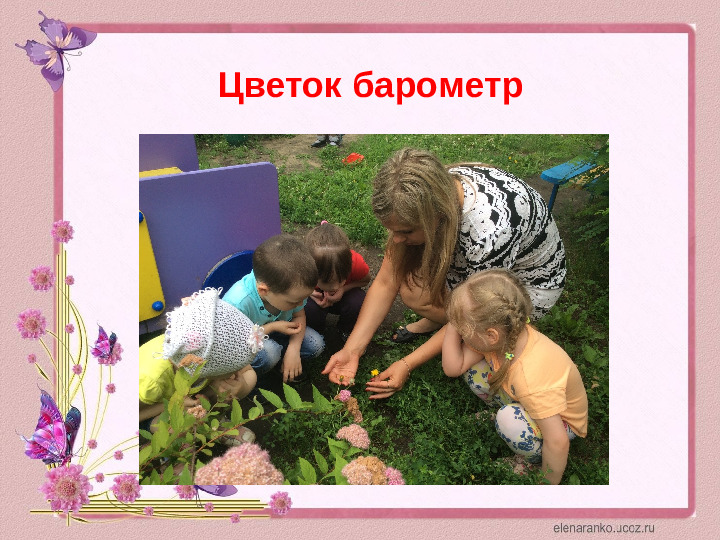 Проектная деятельность с детьми среднего дошкольного возраста на тему: "Цветочный калейдоскоп"