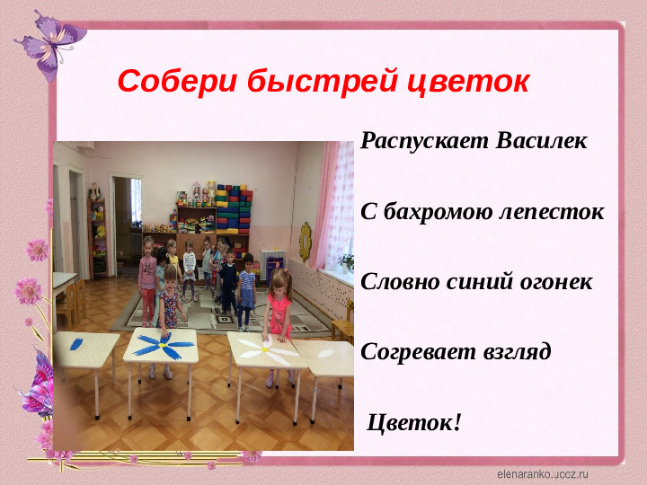 Проектная деятельность с детьми среднего дошкольного возраста на тему: "Цветочный калейдоскоп"