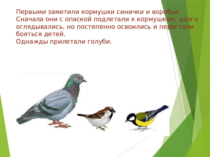 Презентация акции "Покормите птиц зимой"