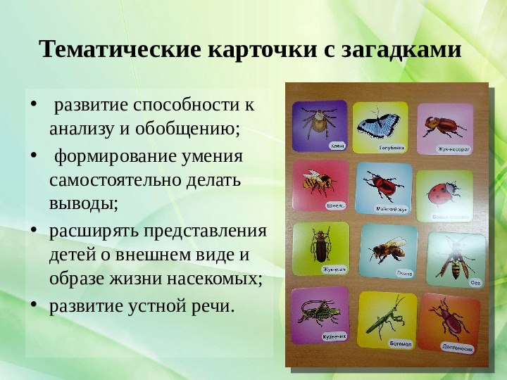 Методическая разработка лепбук "Мир насекомых"