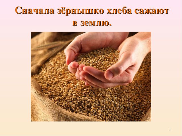Презентация для детей. Откуда хлеб пришёл?