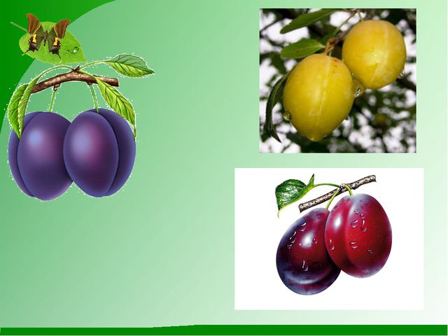 Презентация для детей. Фрукты