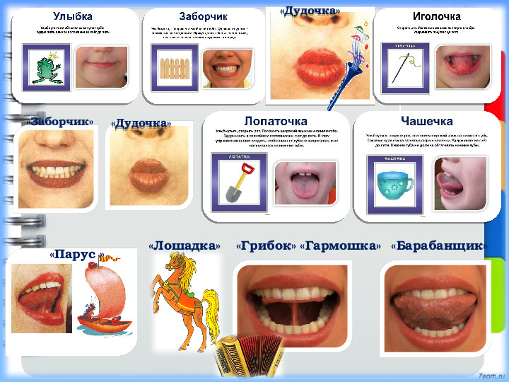 Презентация. Старший дошкольный возраст. Индивидуальное логопедическое занятие №5. Постановка звука Р.