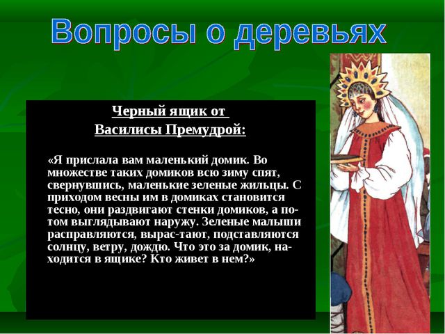 Знатоки природы! Презентация к викторине