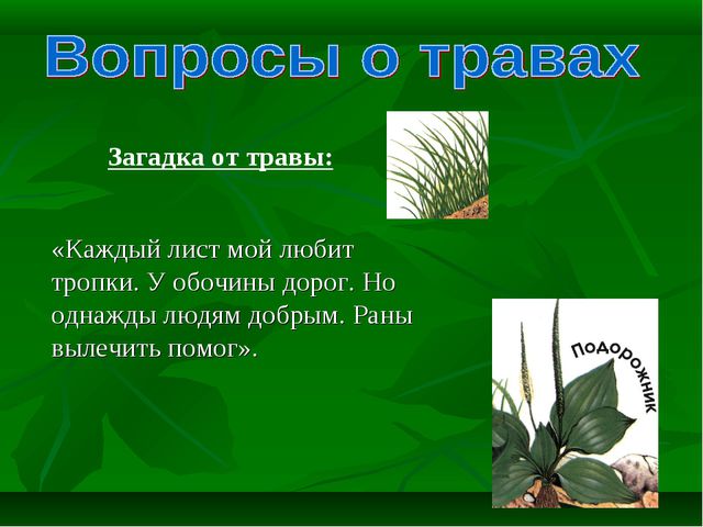 Знатоки природы! Презентация к викторине