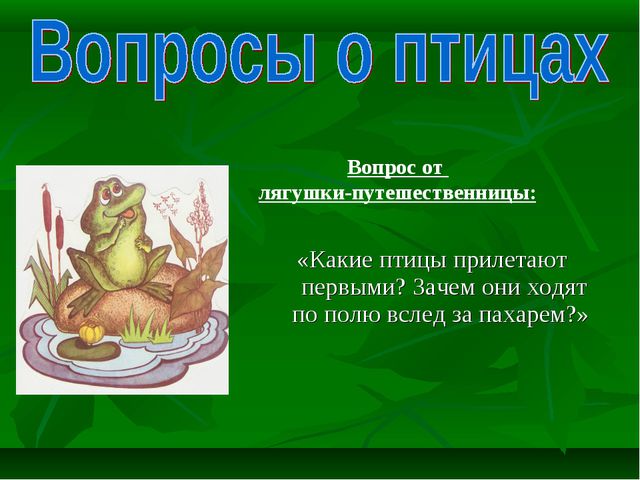 Знатоки природы! Презентация к викторине