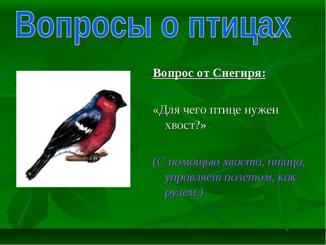 Знатоки природы! Презентация к викторине
