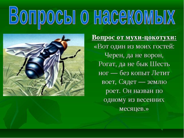 Знатоки природы! Презентация к викторине