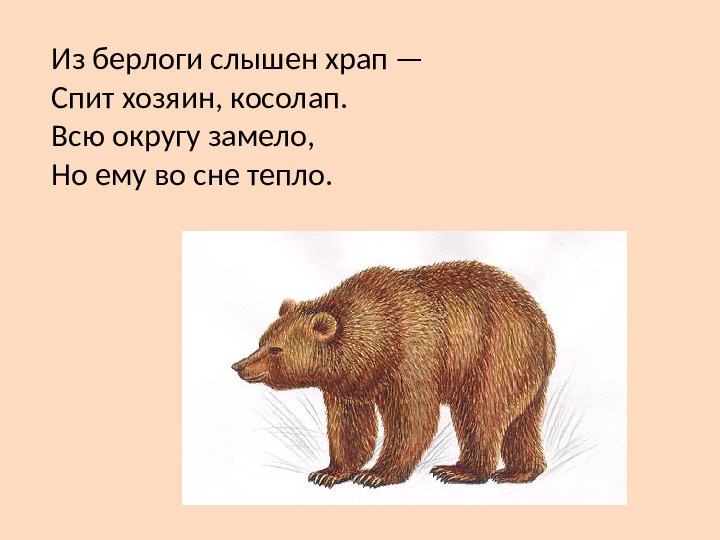 Презентация к занятию Дикие животные