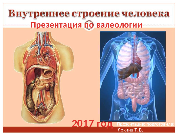 Презентация по валеологии "Внутреннее строение человека"