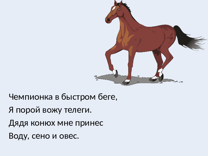 Презентация к занятию Домашние животные