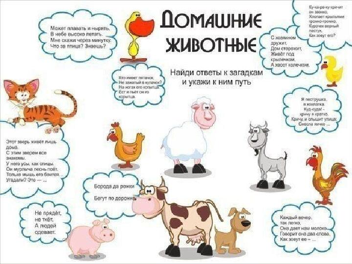 Презентация к занятию Домашние животные