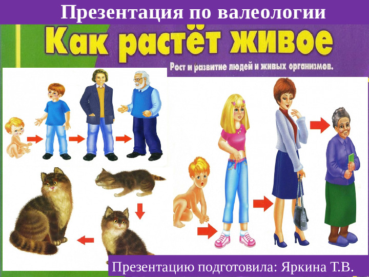 Презентация по валеологии "Как растет живое"