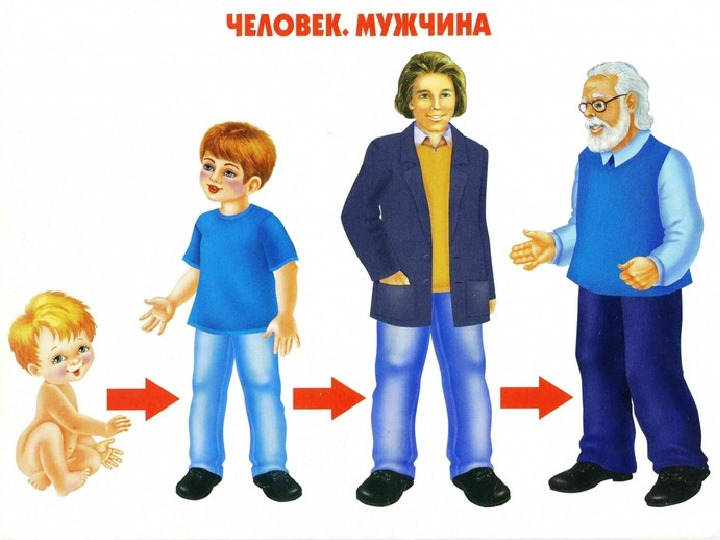 Презентация по валеологии "Как растет живое"