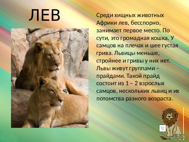 Презентация по окружающему миру для подготовительной группы "Африканская саванна"