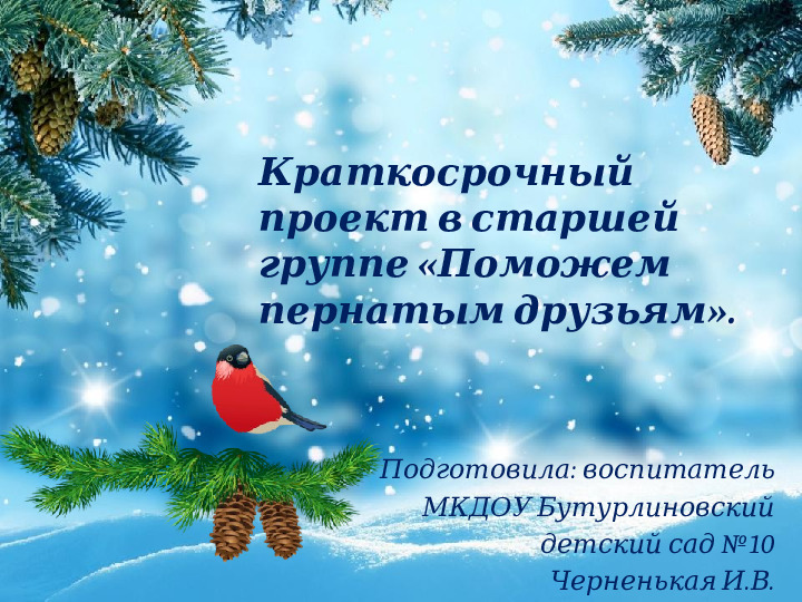 Презентация "Поможем Пернатым друзьям зимой"