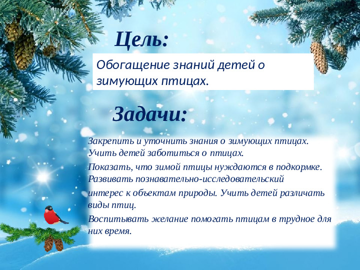 Презентация "Поможем Пернатым друзьям зимой"
