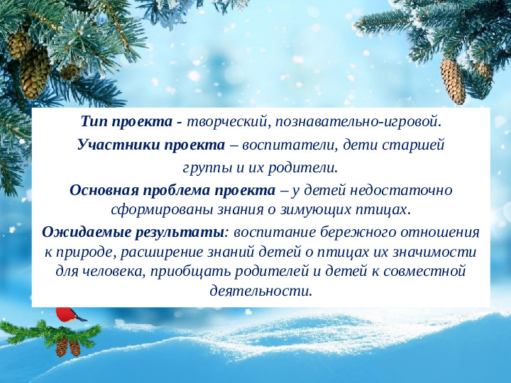 Презентация "Поможем Пернатым друзьям зимой"
