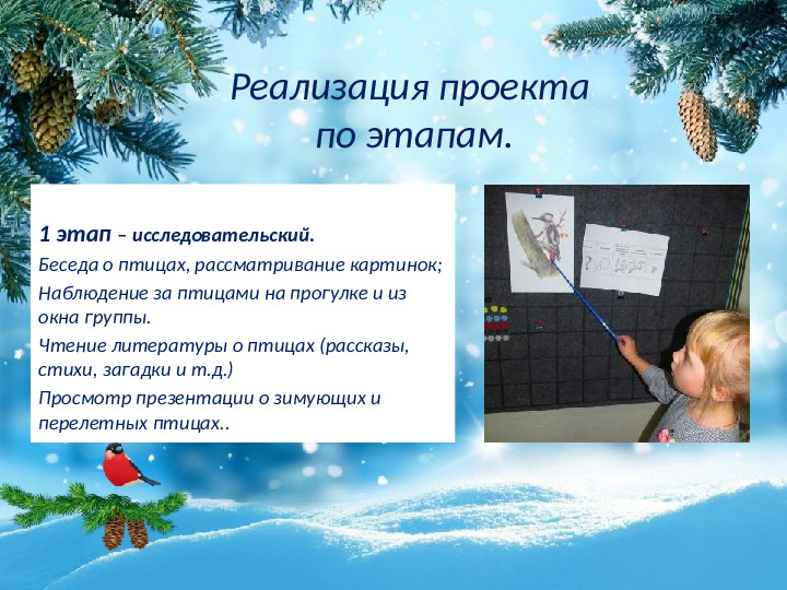 Презентация "Поможем Пернатым друзьям зимой"