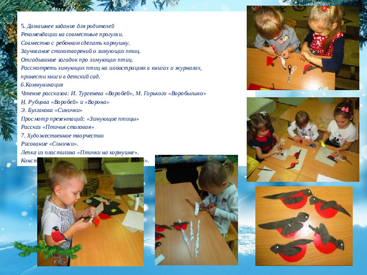 Презентация "Поможем Пернатым друзьям зимой"