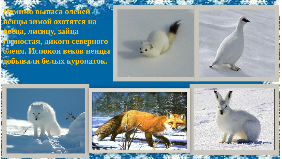 Презентация к НОД по ФЦКМ "Моя малая Родина"