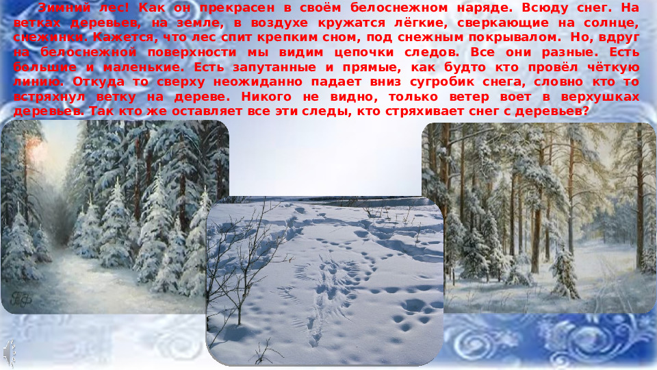 Презентация к НОД по ФНЭП "Прогулка по зимнему лесу"