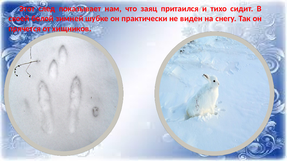 Презентация к НОД по ФНЭП "Прогулка по зимнему лесу"
