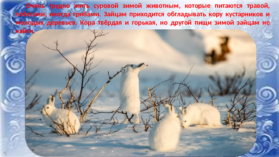 Презентация к НОД по ФНЭП "Прогулка по зимнему лесу"