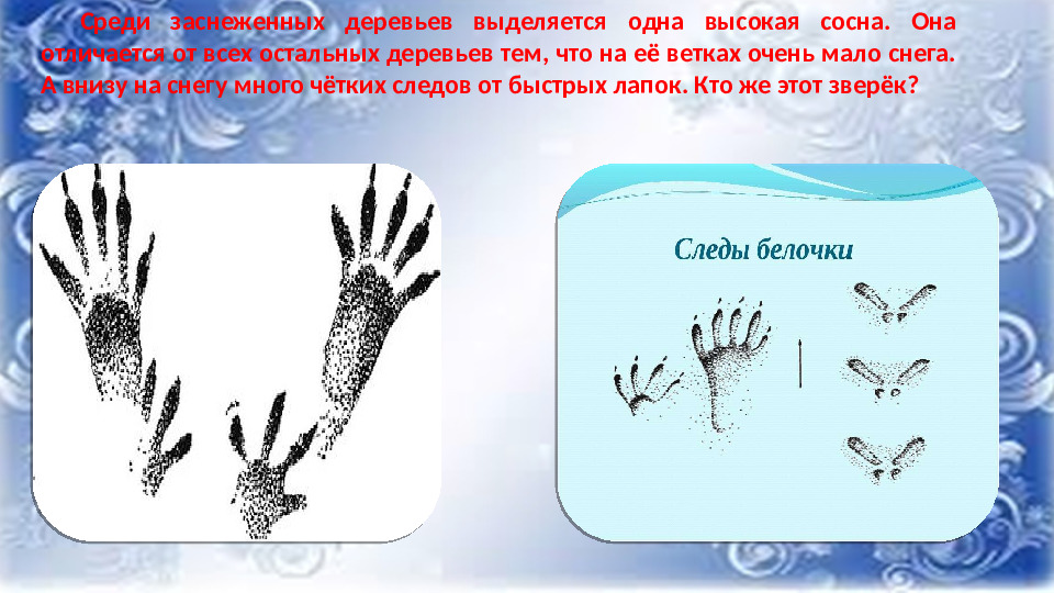 Презентация к НОД по ФНЭП "Прогулка по зимнему лесу"