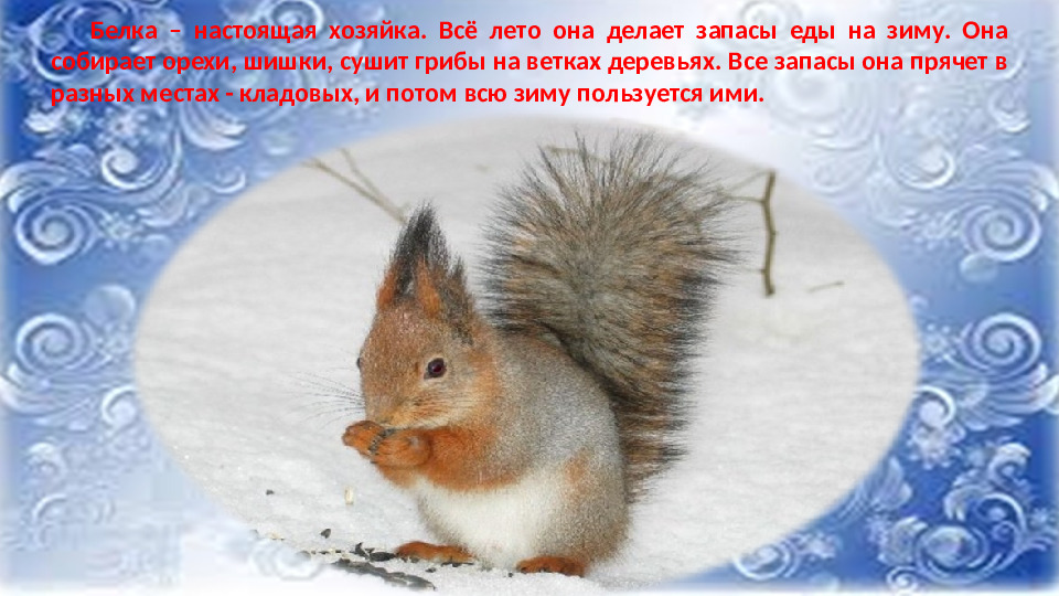 Презентация к НОД по ФНЭП "Прогулка по зимнему лесу"