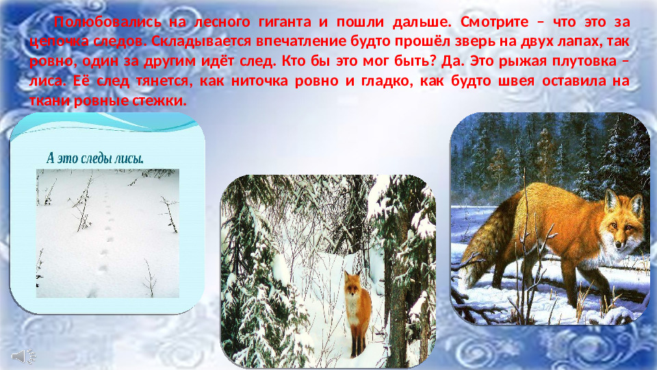 Презентация к НОД по ФНЭП "Прогулка по зимнему лесу"