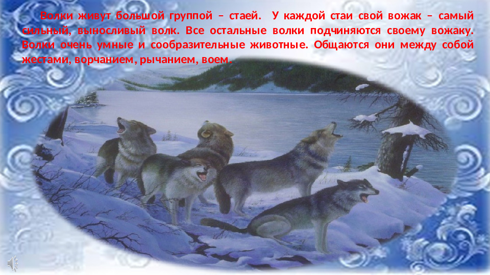 Презентация к НОД по ФНЭП "Прогулка по зимнему лесу"