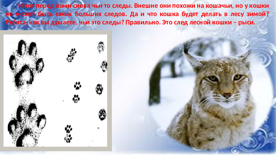 Презентация к НОД по ФНЭП "Прогулка по зимнему лесу"