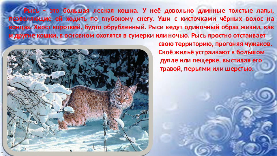 Презентация к НОД по ФНЭП "Прогулка по зимнему лесу"