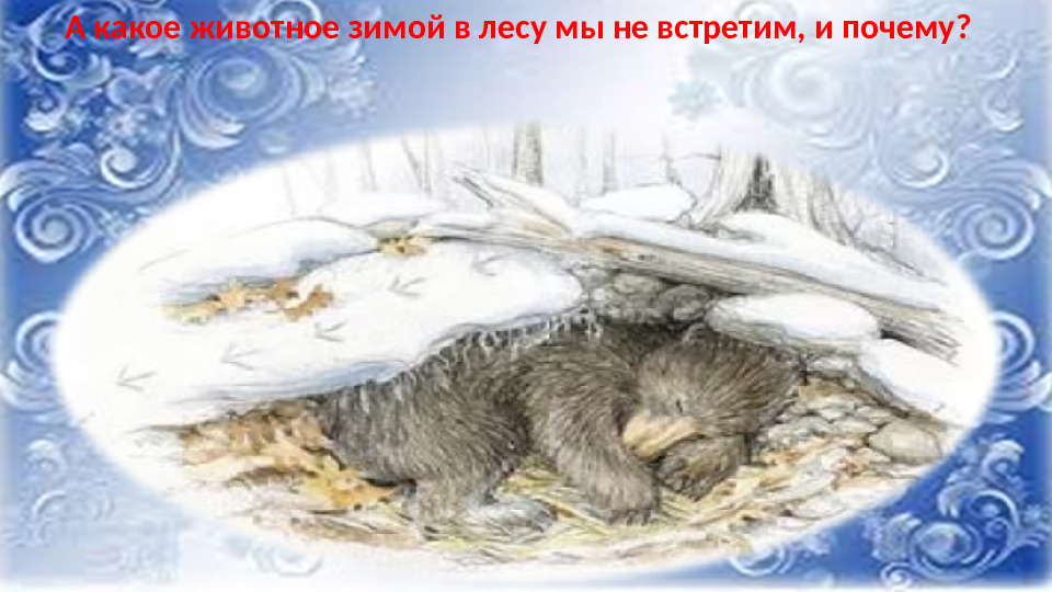 Презентация к НОД по ФНЭП "Прогулка по зимнему лесу"