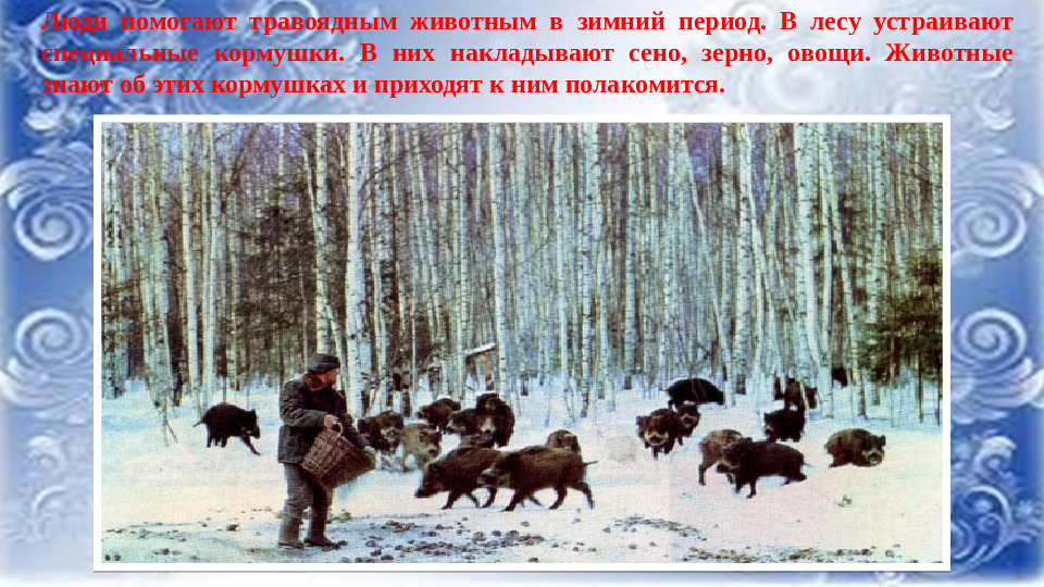 Презентация к НОД по ФНЭП "Прогулка по зимнему лесу"