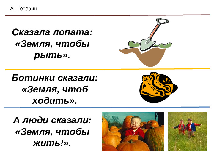 Презентация: "Почва и ее подземные жители"