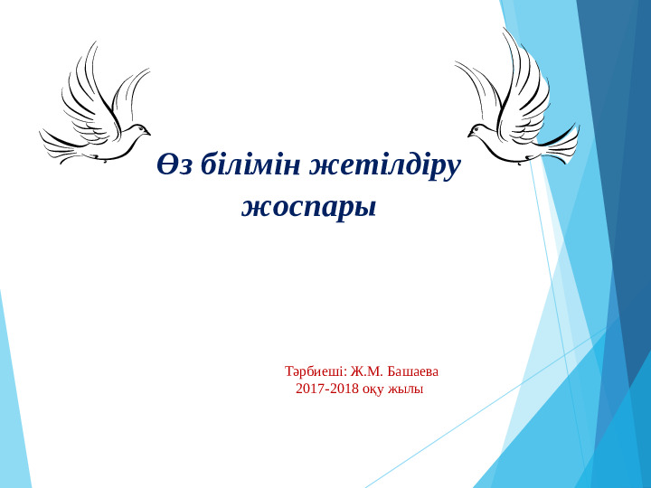 Өз білімін жетілдіру жоспары.