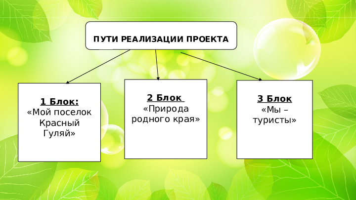 Проект "Туристическая тропа "Памятники природы родного края"