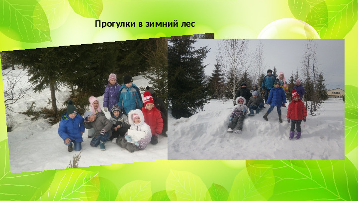 Проект "Туристическая тропа "Памятники природы родного края"