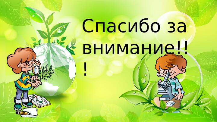 Проект "Туристическая тропа "Памятники природы родного края"